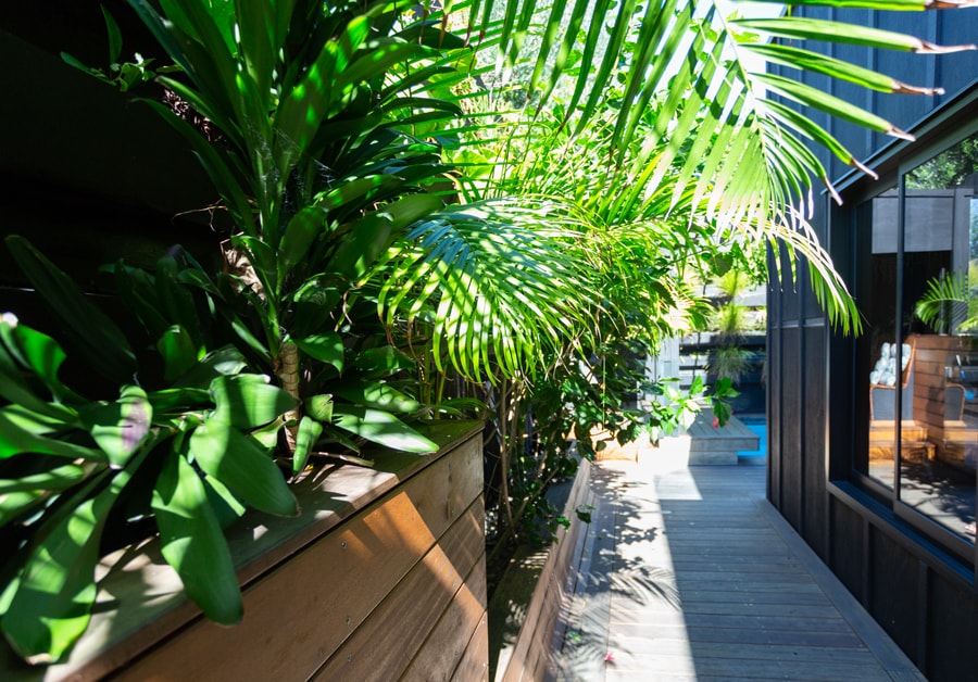 Landscaping
