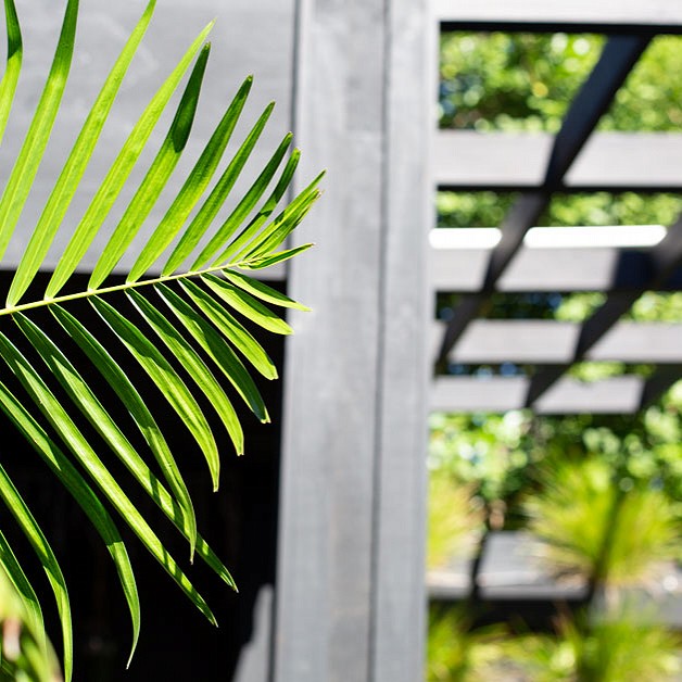 Tropical Oasis